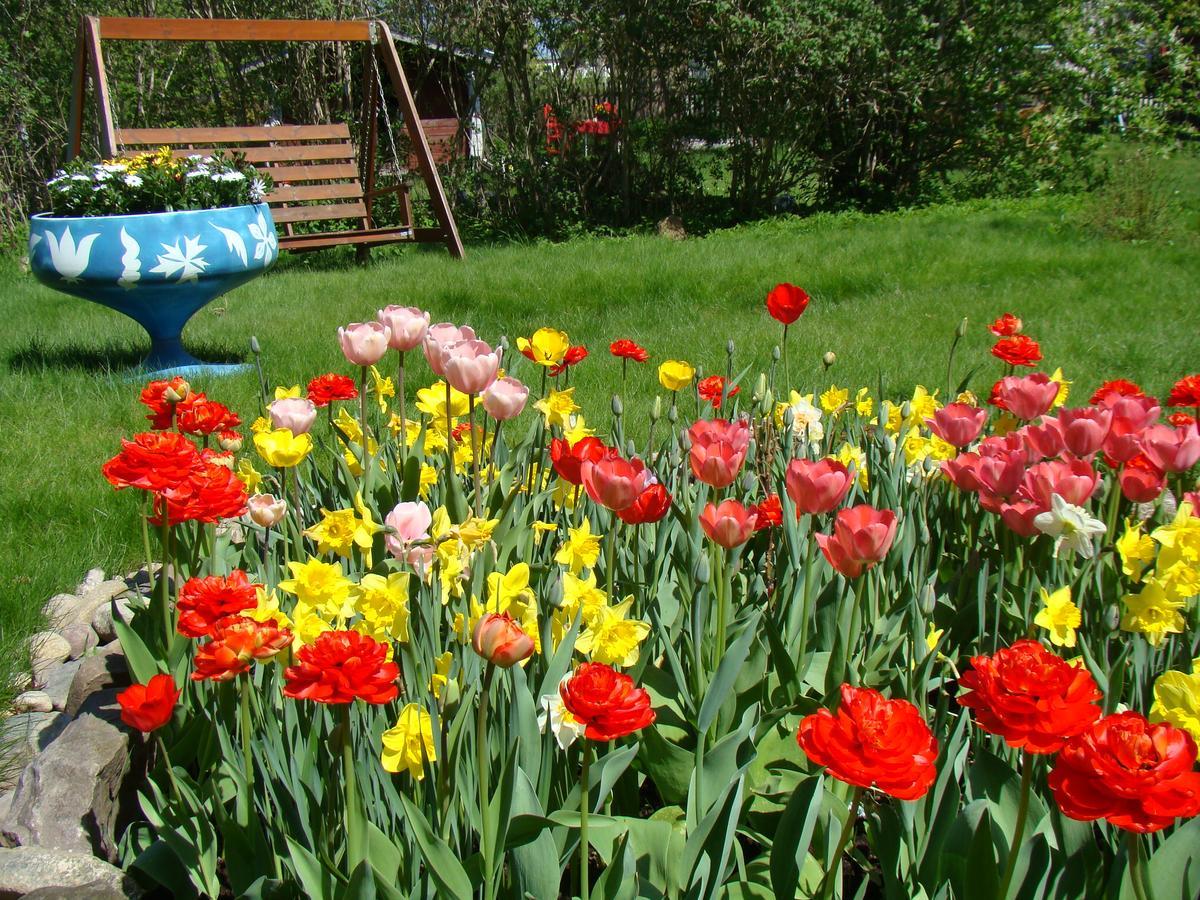 Wonderful Home Bodafors Экстерьер фото