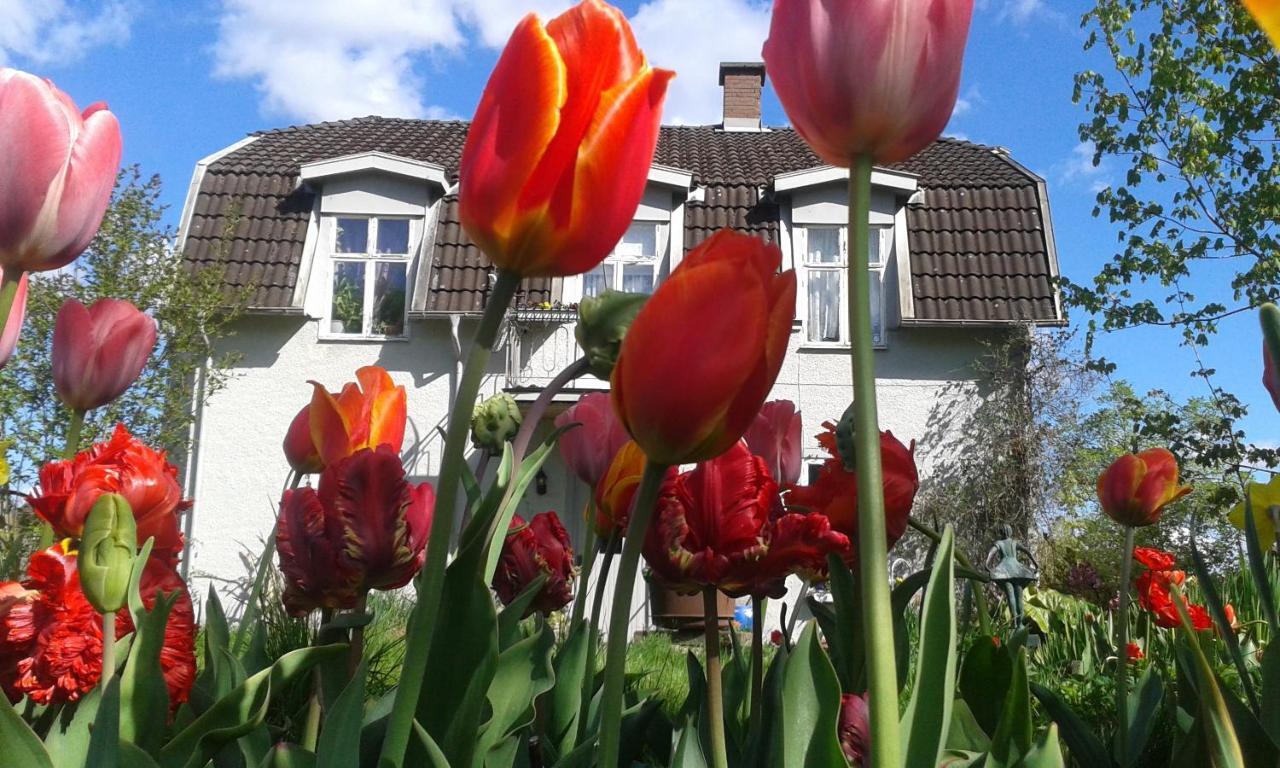 Wonderful Home Bodafors Экстерьер фото